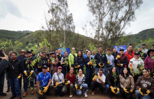 CUMPLE SIMAPAG COMPROMISO ECOLÓGICO: PLANTAN ÁRBOLES EN LA RIVERA DE LA PRESA DE MATA