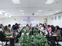INE Guanajuato aprueba integración de comisiones y da seguimiento a actividades del Proceso Electoral Federal 2026-2027